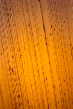 Orange background Stock Photos