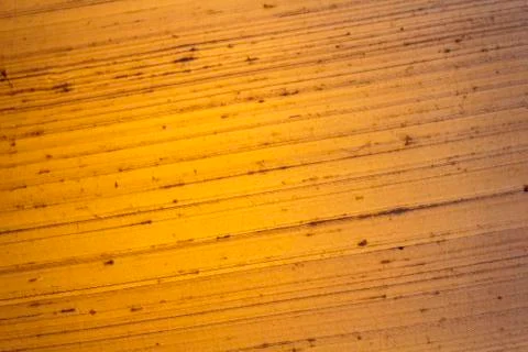 Orange background Stock-Fotos