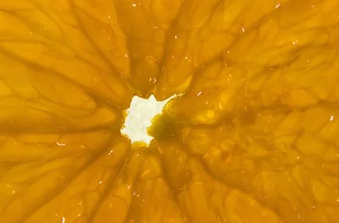 Orange as a background with the possibility of adding text, macro photo. Stock Photos