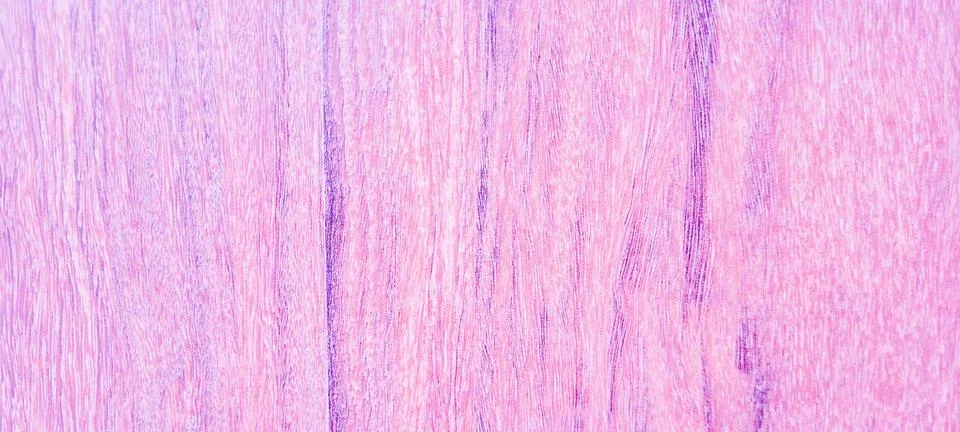 Orange background with rustic texture Stock Photos