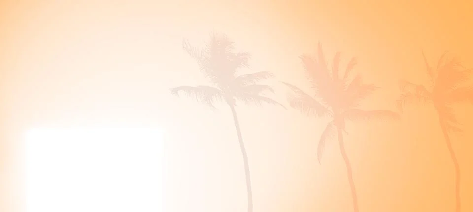 Orange Background Shadow Texture Leaf Palm Summer Autumn Wall Light Stock Photos