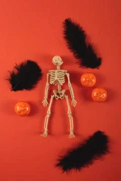 Orange background with skeleton, feathers and mini pumpkins. Halloween Stock Photos