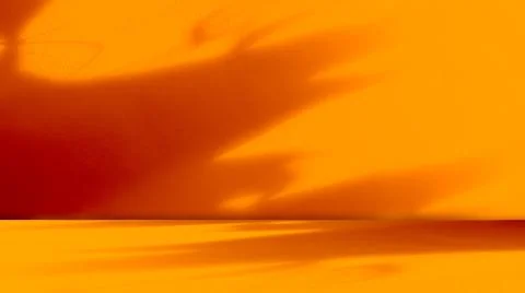 Orange Background Studio Wall Floor Shadow Leaf Abstract Kitchen Room Stock Photos