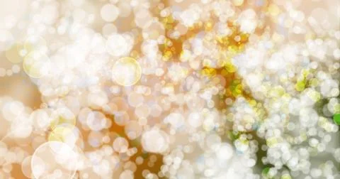 Orange background.Bokeh Orange background. Stock Illustration