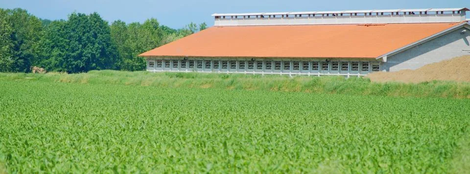 Orange Barn Stock Photos