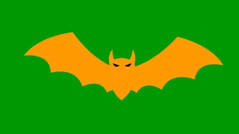 Orange bat green Stock Footage 250450128