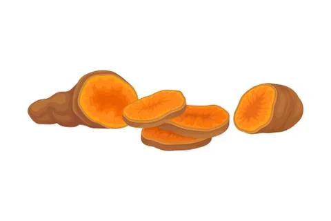 Orange Batata Vegetable Isolated on White Background Vector Illustration Stock Illustration