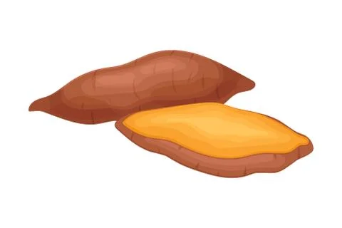 Orange Batata Vegetable Isolated on White Background Vector Illustration Stock Illustration