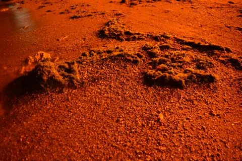 The orange beach at night or Mars 2 Stock Photos
