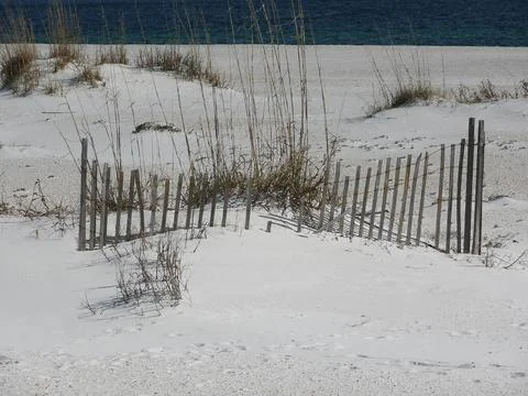 Orange Beach Stock Photos