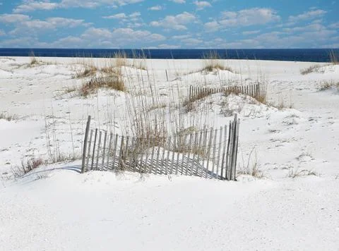 Orange Beach Stock Photos