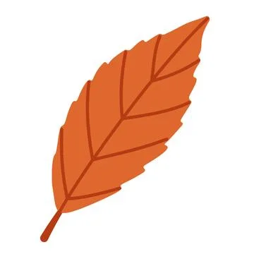 Orange Beech Leaf Isolated Vector Element Flat Style Icon Stock Illustration
