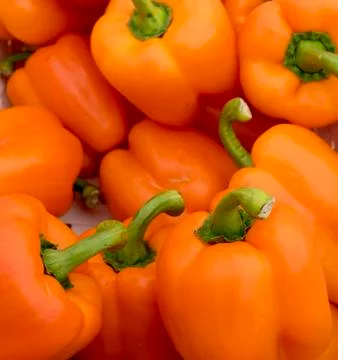 Orange Bell Pepper background Stock Photos