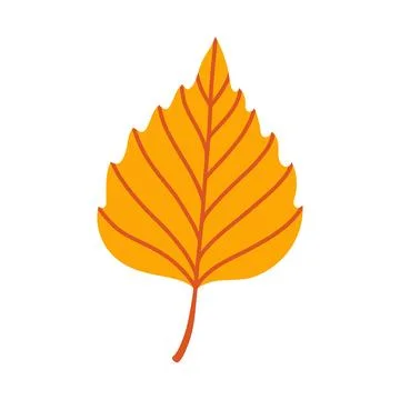 Orange birch leaf isolated on white background. Simple autumn fall leaf for Stock Illustration