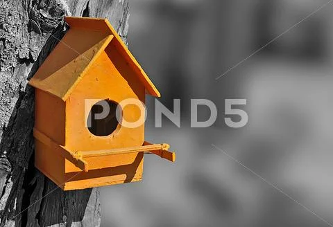 Orange bird house Stock Photos