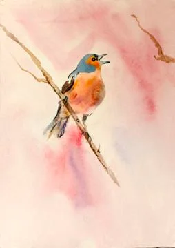 Orange bird Stock Illustration