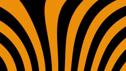 Orange with black bee lines VJ loop animation0001-0240 Stock Footage 323367513