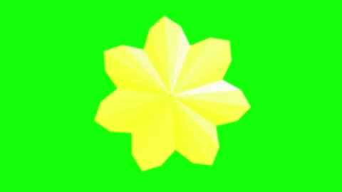 Orange Black Flower Horizontal 16:9 Green Screen Vídeo Stock 340461283