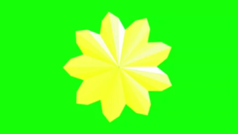 Orange Black Flower Horizontal 16:9 Green Screen Stock-Footage 340461294