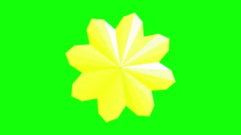 Orange Black Flower Horizontal 16:9 Green Screen 스톡 동영상 340461308