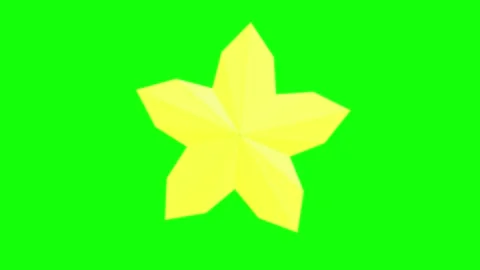 Orange Black Flower Star Horizontal 16:9 Green Screen Vidéo 340461271