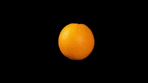 Orange on black Stock Footage 219530983