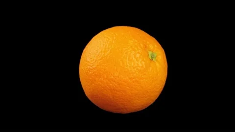 Orange on black Stock Footage 219530986