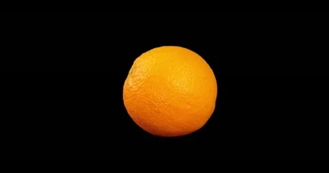 Orange on black Video stock 219530988
