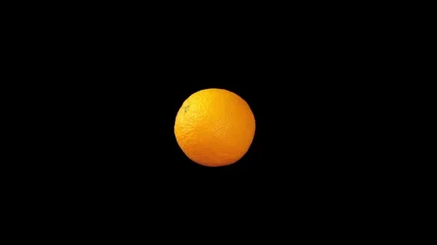 Orange on black Video stock 219531007