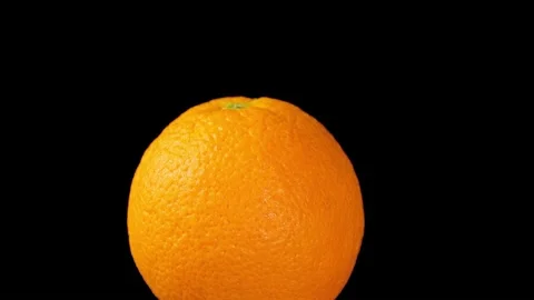 Orange on black Stock Footage 219531016