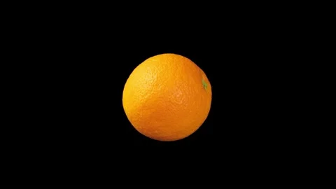 Orange on black Stock Footage 219531018
