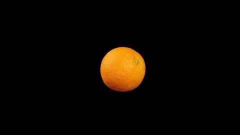 Orange on black Stock Footage 219531024