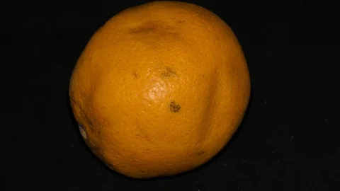 An orange on black surface rotating in circles and rounds Video stock 111274353