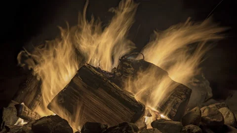 Orange, Blue, Red Flames Beach Night Time Campfire Timelapse Stock Footage 182402383