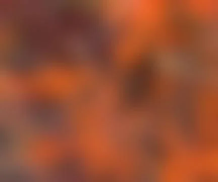 Orange blurred picture texture Stock Illustration