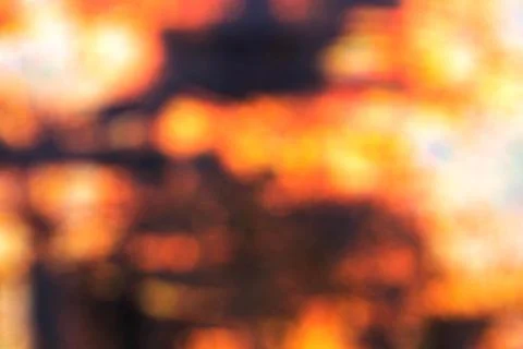 Orange with blurry background. Stock Photos