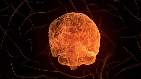 Orange Brain. Abstract digital human brain. Neural network. IQ testing, artif Stock Footage 139469279