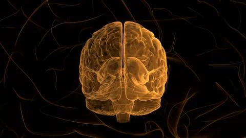 Orange Brain. Abstract digital human brain. Neural network. IQ testing, artif Stock Illustration