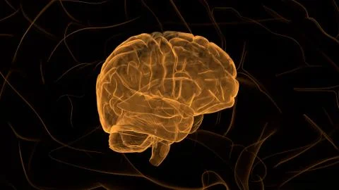 Orange Brain. Abstract digital human brain. Neural network. IQ testing, artif Stock Illustration