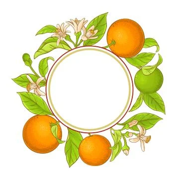 Orange branch vector frame Stock Illustration