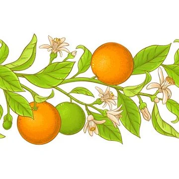 Orange branch vector pattern Stock Illustration