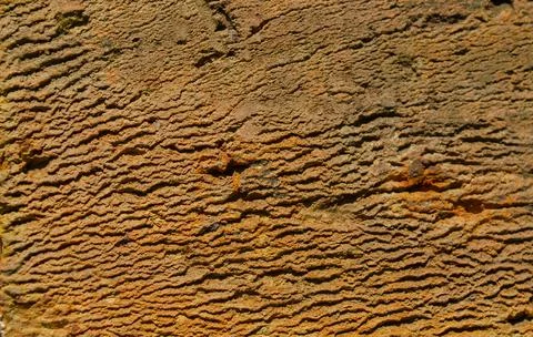 Orange brick texture macro closeup, old detailed rough grunge textured copy Stock-Fotos
