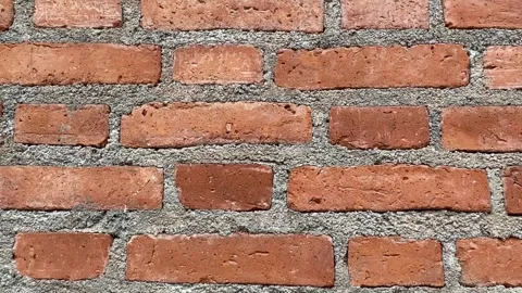 Orange brick wall with cement lines showing rough texture Stock Footage 313475925