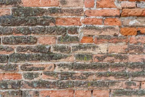 Orange brick wall close up Stock-Fotos