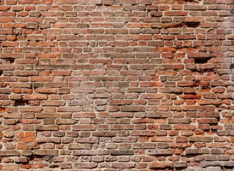 Orange brick wall close up 库存照片