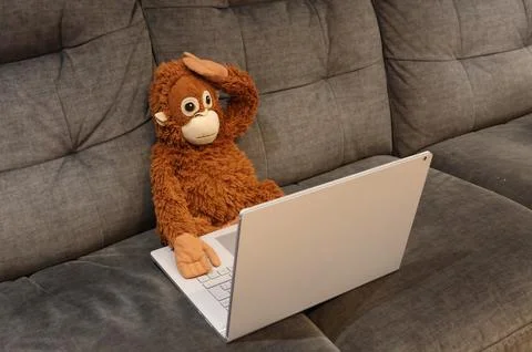 Orange-brown plush monkey sitting on a couch and using a laptop Stock Photos