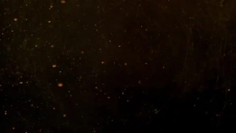 Orange Bubbles Falling 스톡 동영상 331097795