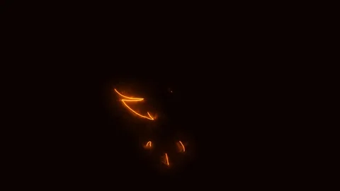 Orange Burning Phoenix Animated Logo with Reveal Effect Stock Footage 103066887