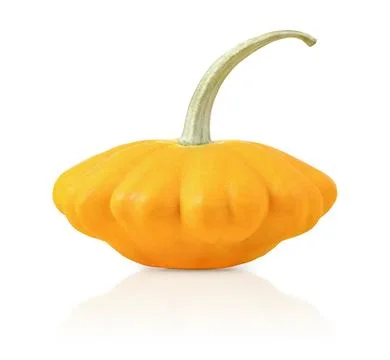 Orange bush pumpkins Stock Photos