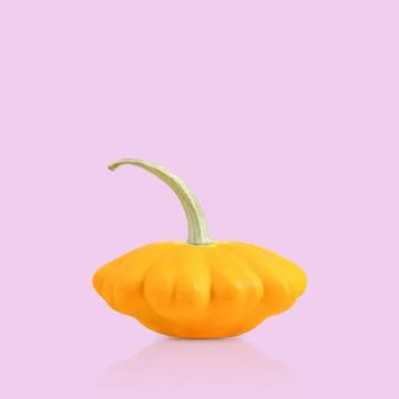 Orange bush pumpkins Stock Photos